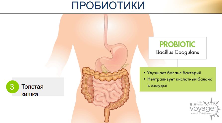 probiotiki lpgn digestive