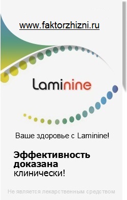 препарат ламинин (laminine) - что это такое, состав