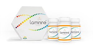 Laminine Activation  Pack 
