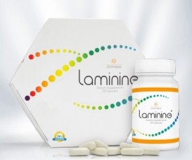 все о продукте Laminine (Ламинин)
