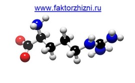 Аминокислота орнитин: функции и применение