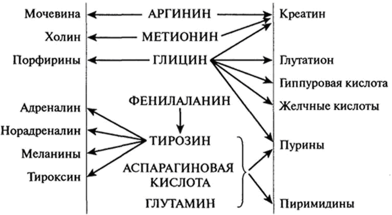 Аминокислоту глицин синтезируют по схеме