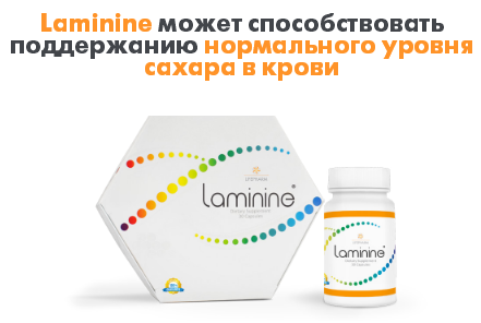 ламинин регулирует сахар крови
