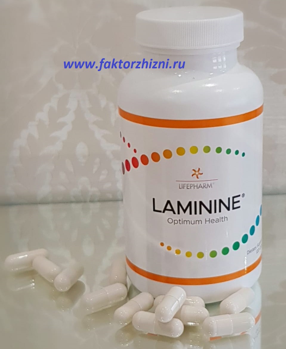ламинин-laminine-для-оздоровления
