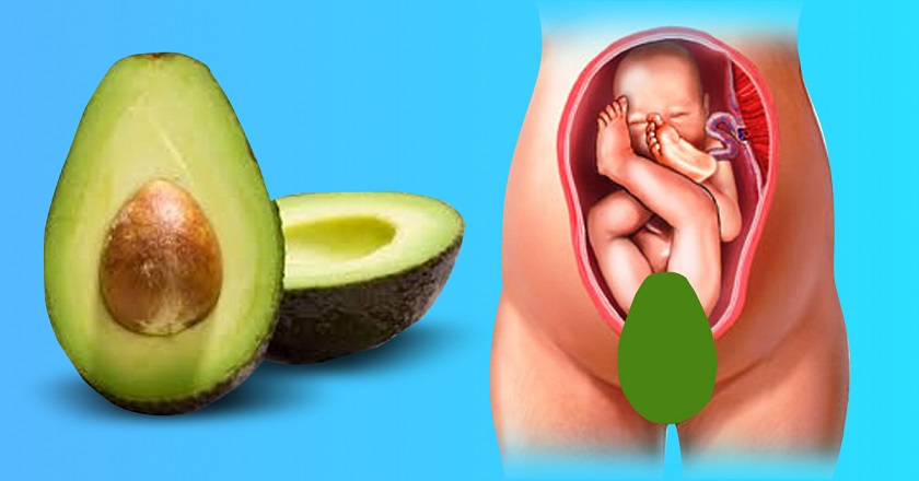 польза авокадо при беременности